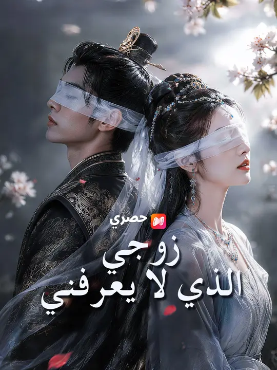 Poster زوجي الذي لا يعرفني