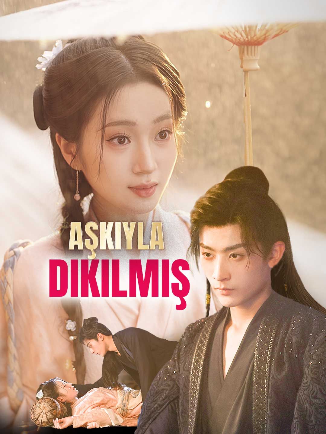 Poster Aşkıyla Dikilmiş