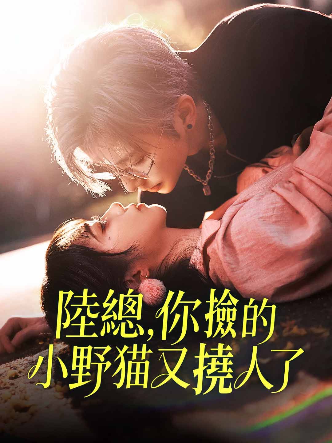 Poster 陸總，你撿的小野貓又撓人了