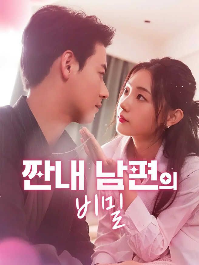 Poster 짠내 남편의 비밀