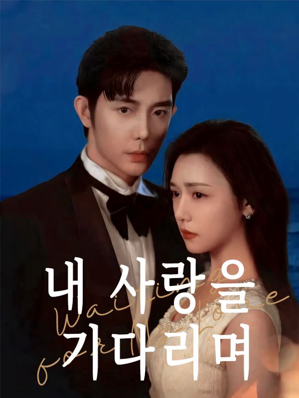 Poster 내 사랑을 기다리며