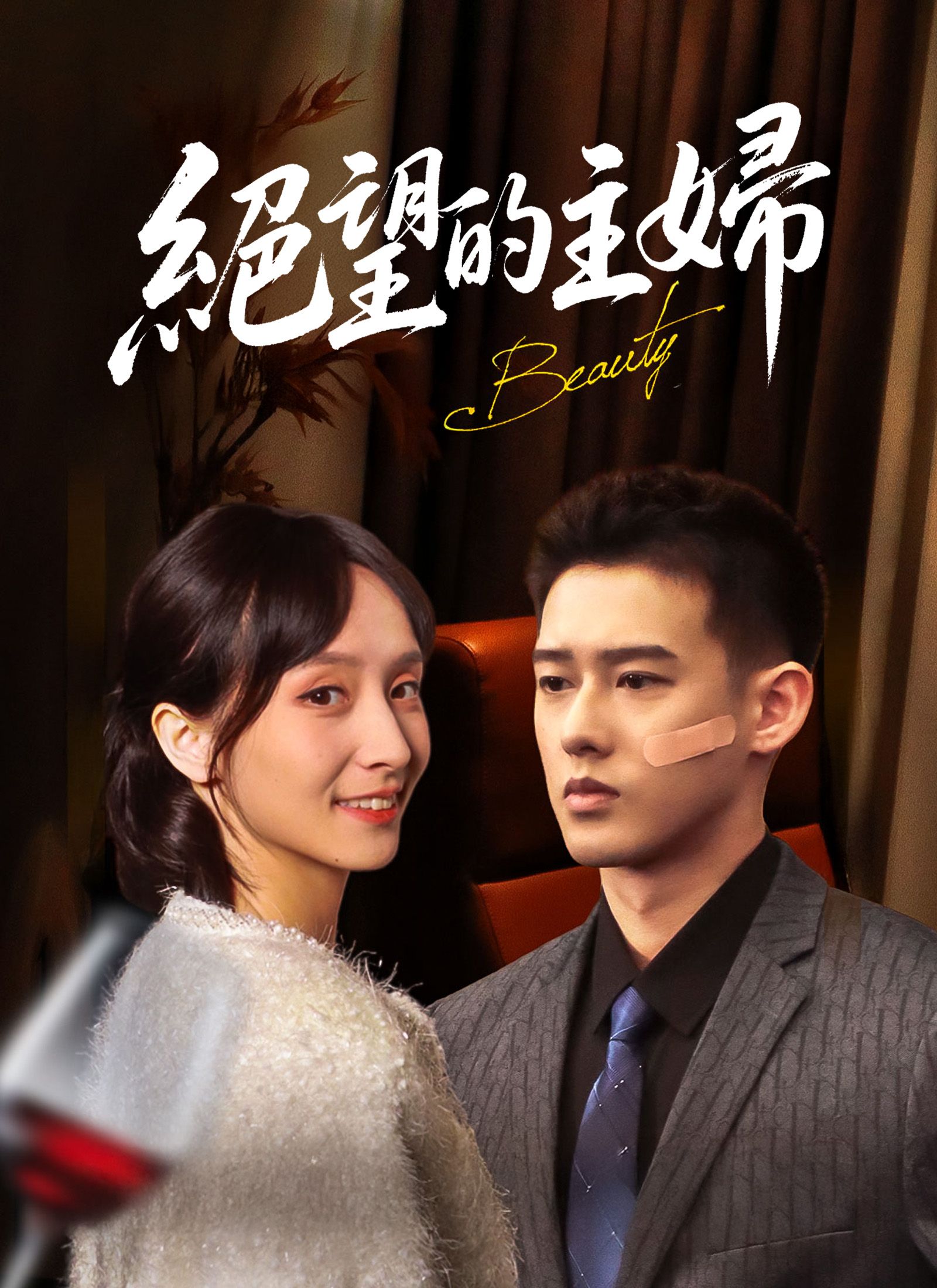 Poster 絕望的主婦