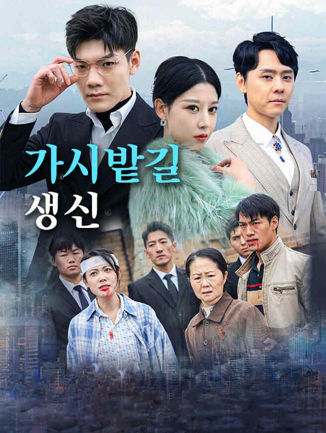 Poster 가시밭길 생신