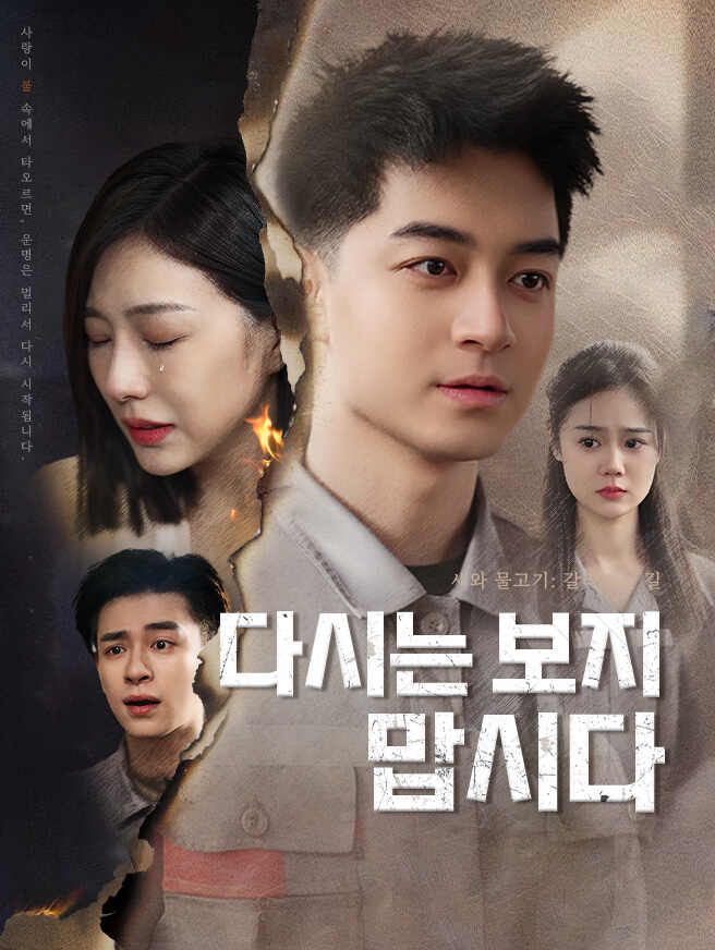 Poster 다시는 보지 맙시다