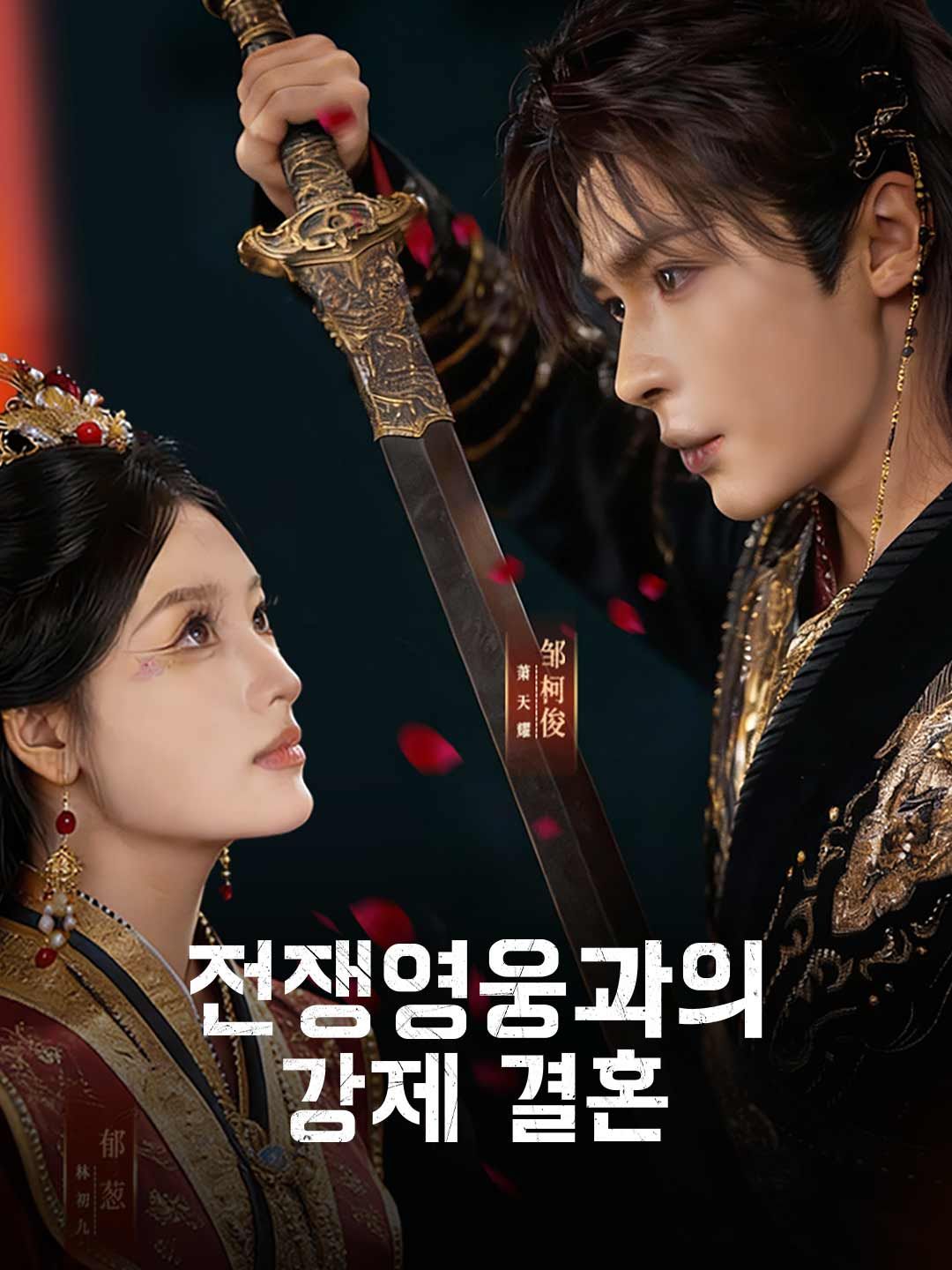 Poster 전쟁영웅과의 강제 결혼