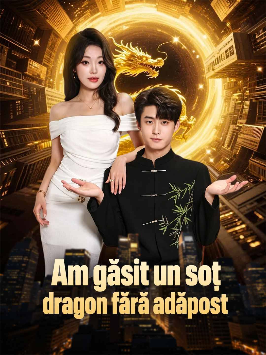 Am găsit un soț dragon fără adăpost