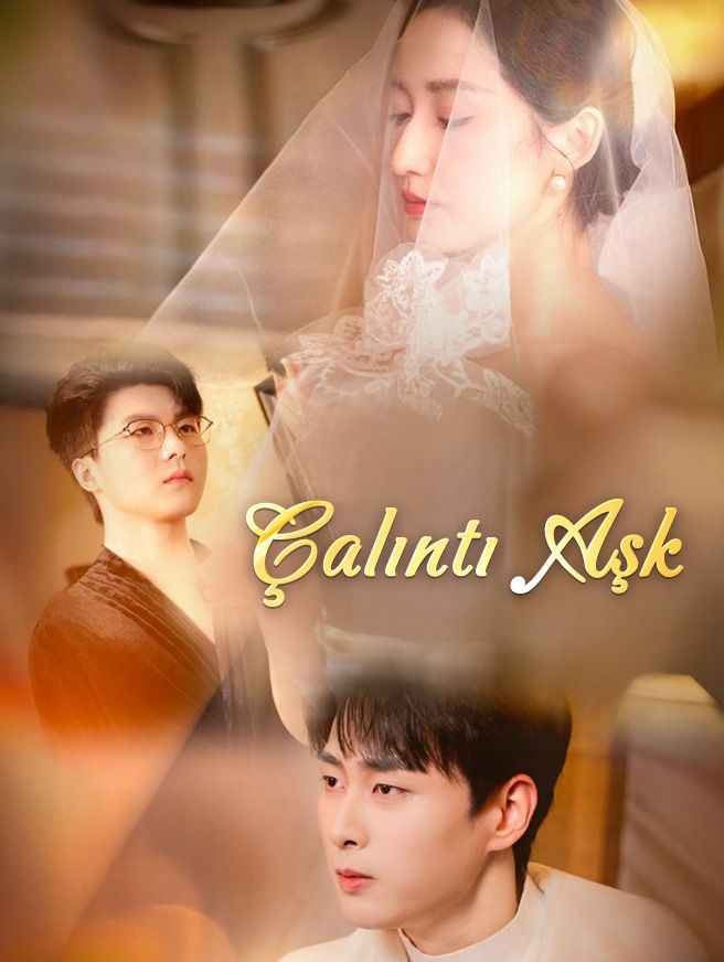 Poster Çalıntı Aşk
