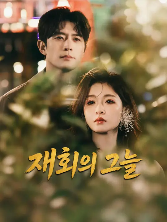 Poster 재회의 그늘