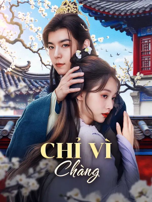 Chỉ Vì Chàng