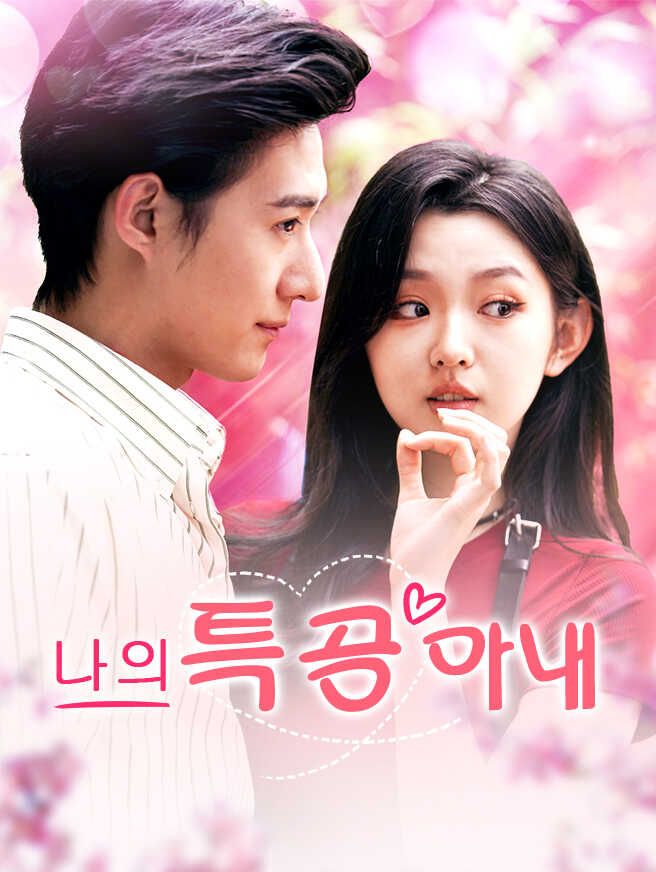 Poster 나의 특공 아내