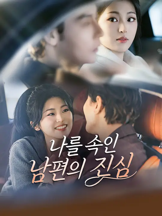 Poster 나를 속인 남편의 진심
