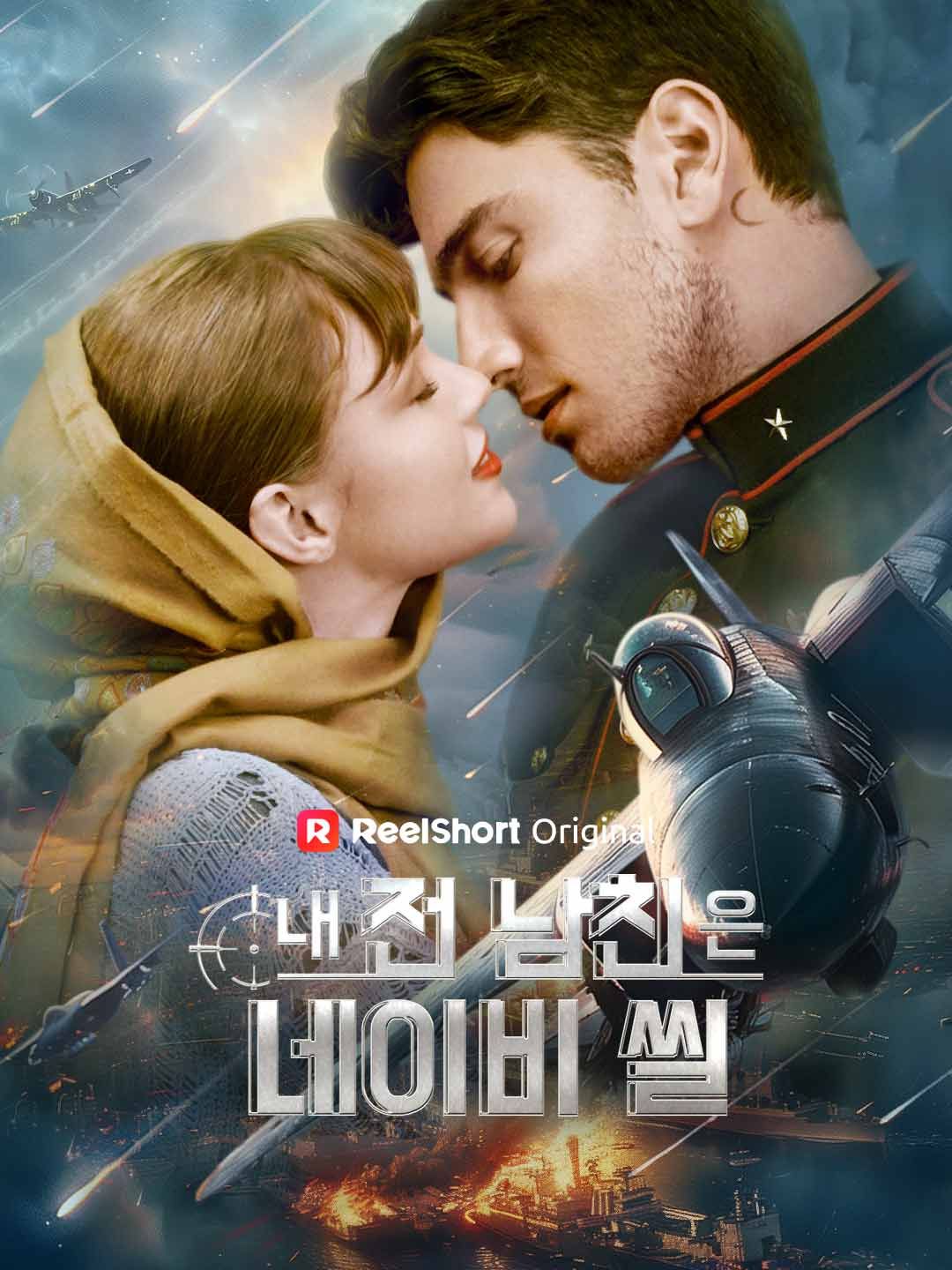 Poster 내 전 남친은 네이비 씰