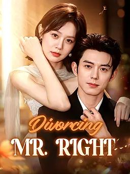 Divorcing Mr. Right