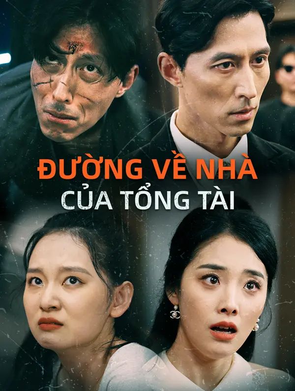 Đường Về Nhà Của Tổng Tài