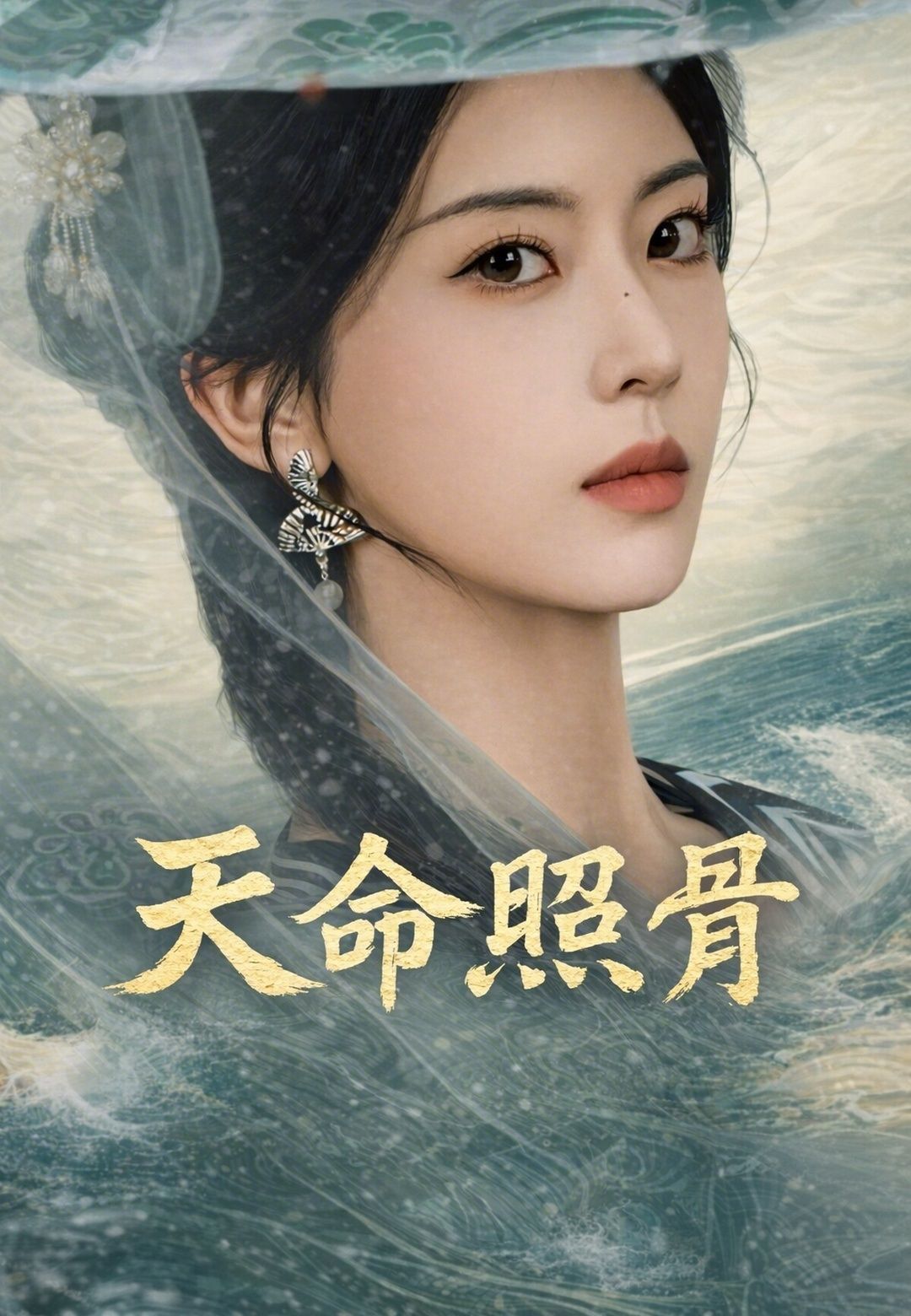 Poster 天命照骨