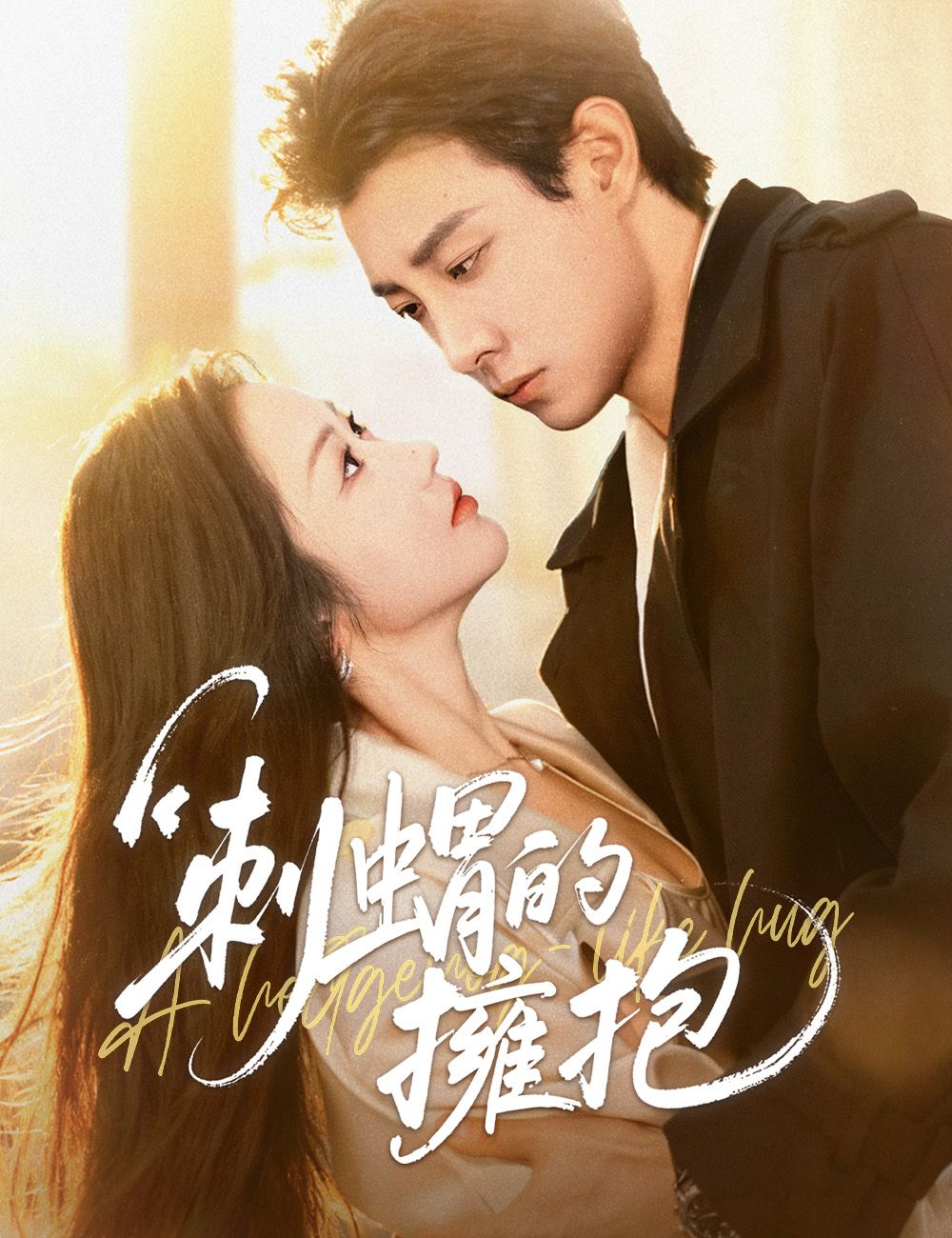 Poster 刺蝟的擁抱