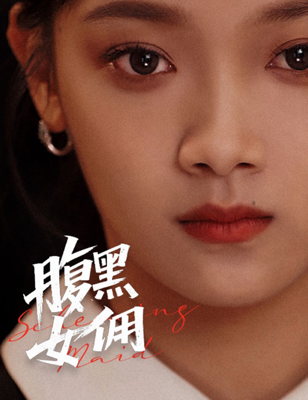 Poster 腹黑女傭