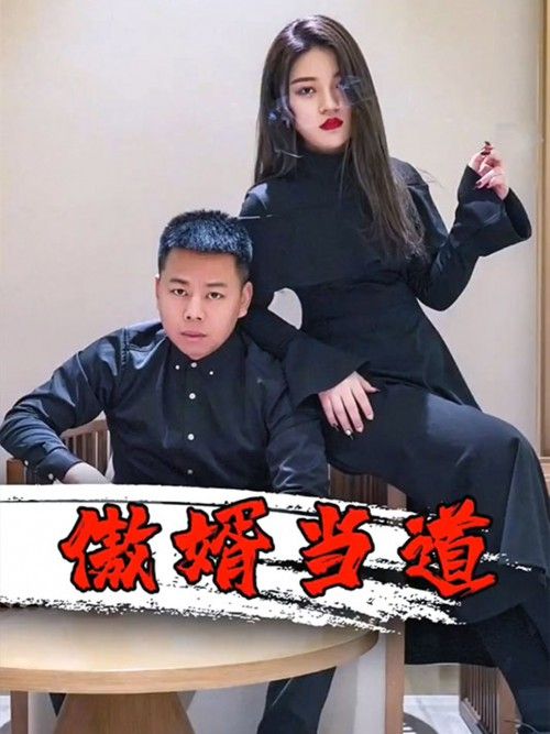 Poster 傲婿当道