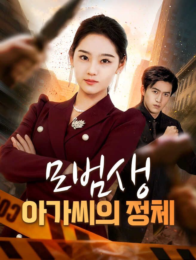 Poster 모범생 아가씨의 정체