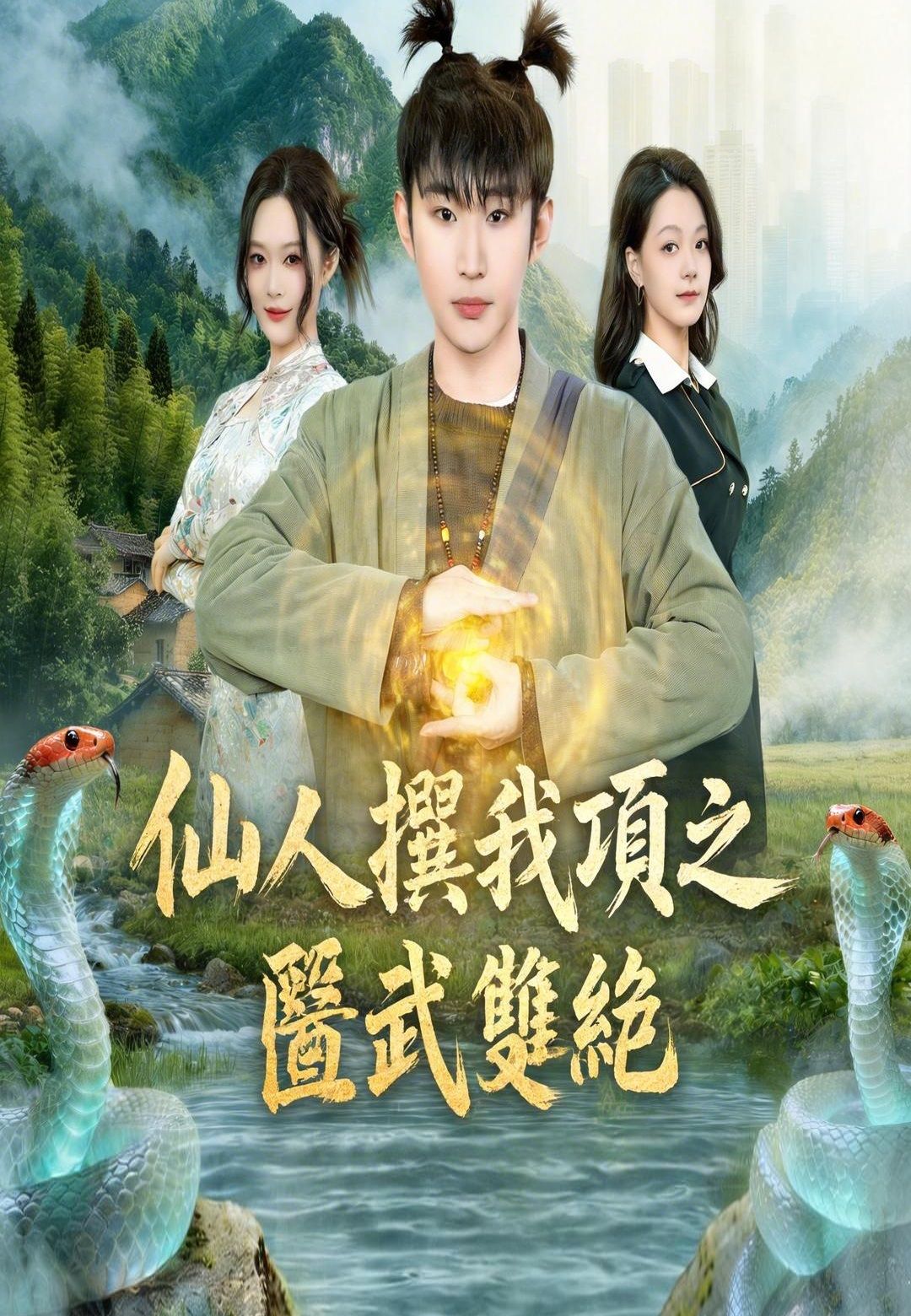 Poster 仙人撫我頂之醫武雙絕