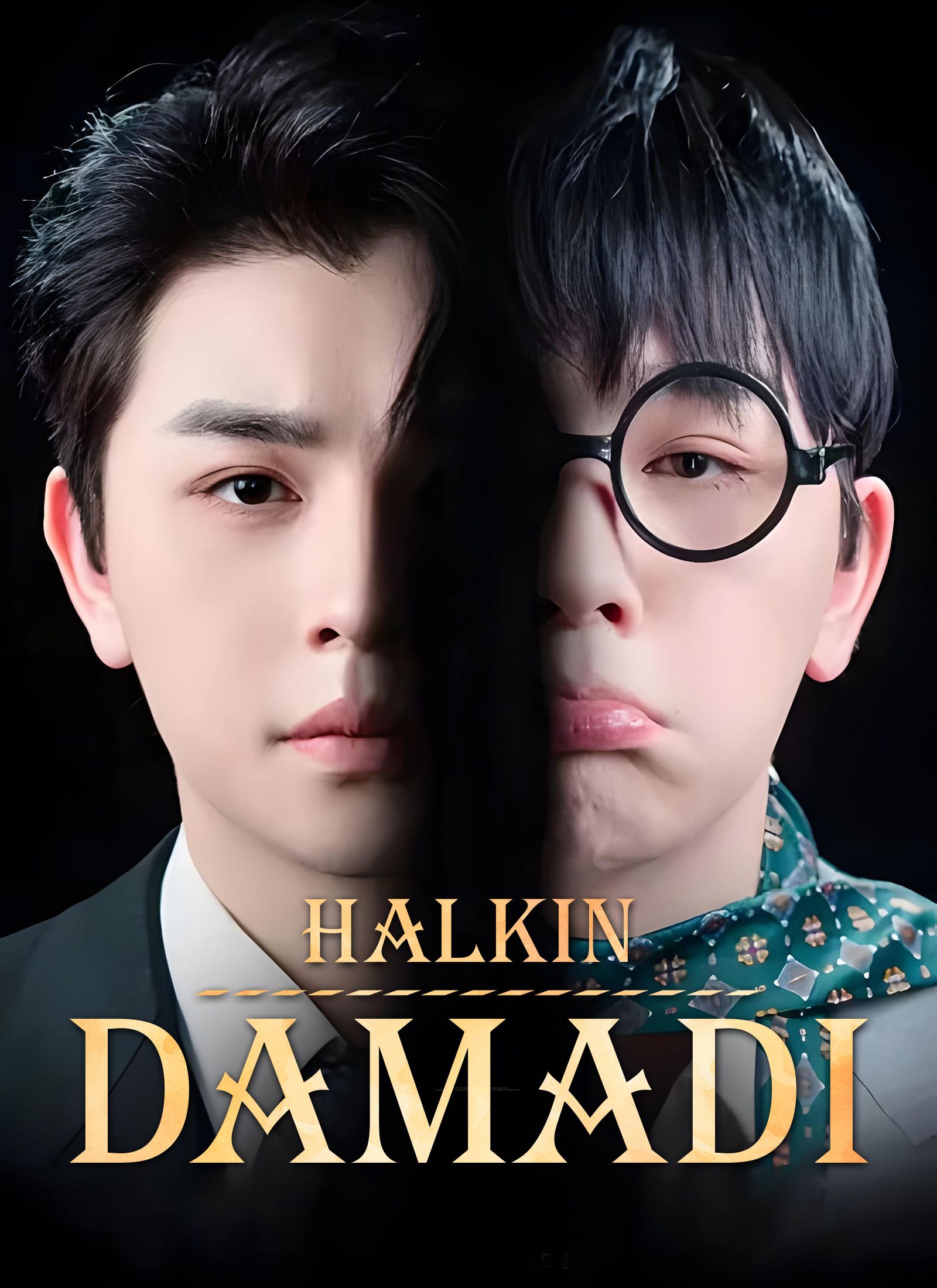 Poster Halkın Damadı