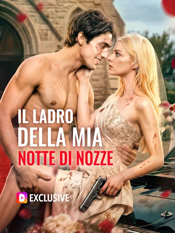 Il Ladro della Mia Notte di Nozze