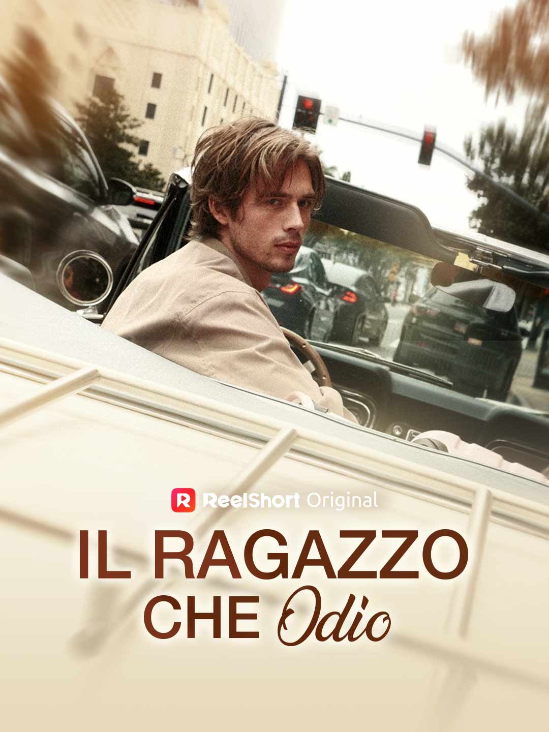 Il ragazzo che odio