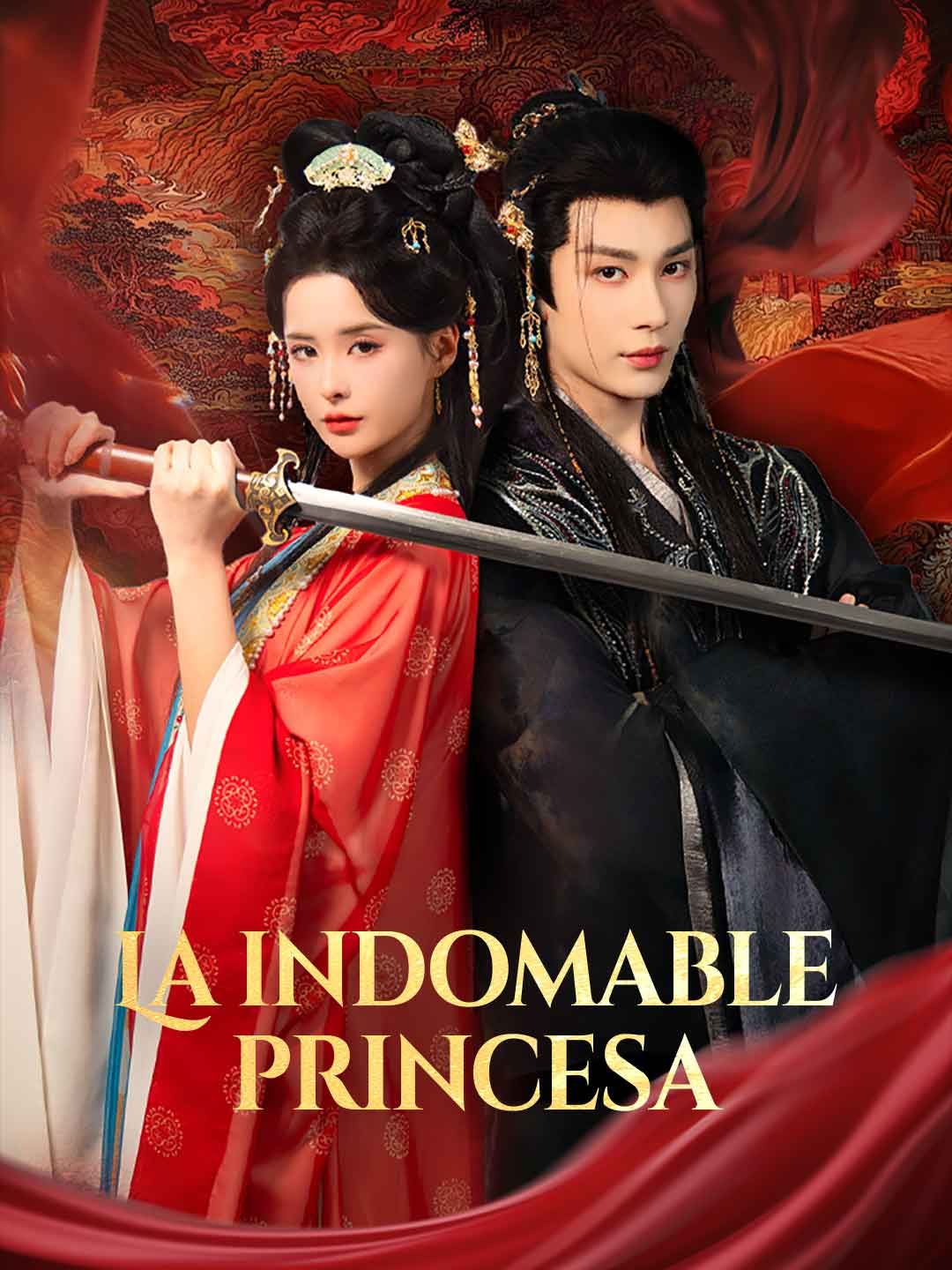 Poster La indomable princesa