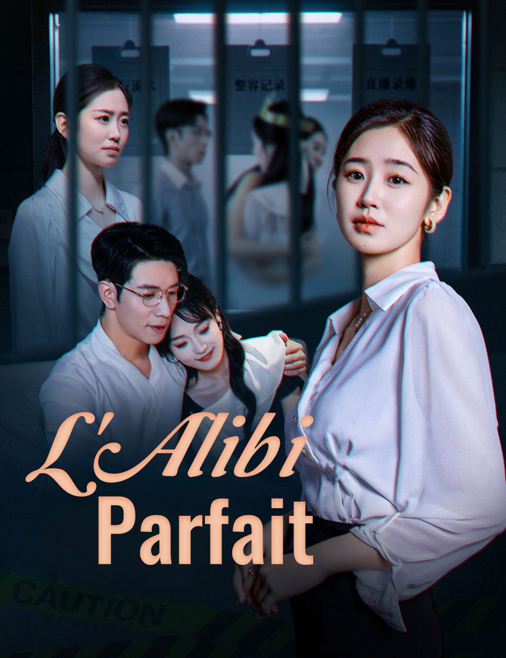 Poster ​L'Alibi Parfait