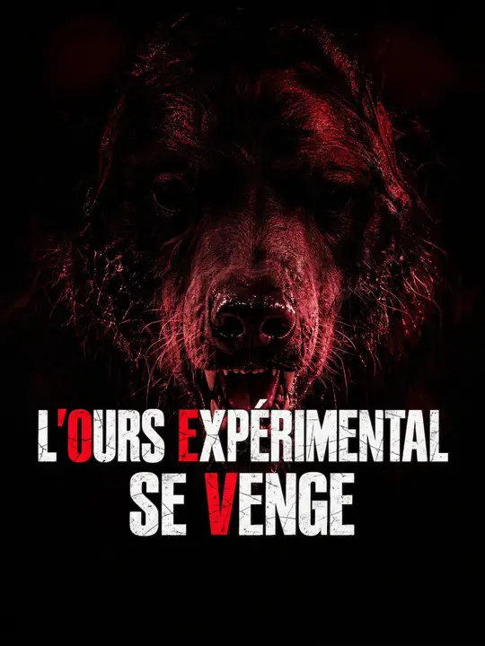 L'OURS EXPÉRIMENTAL SE VENGE