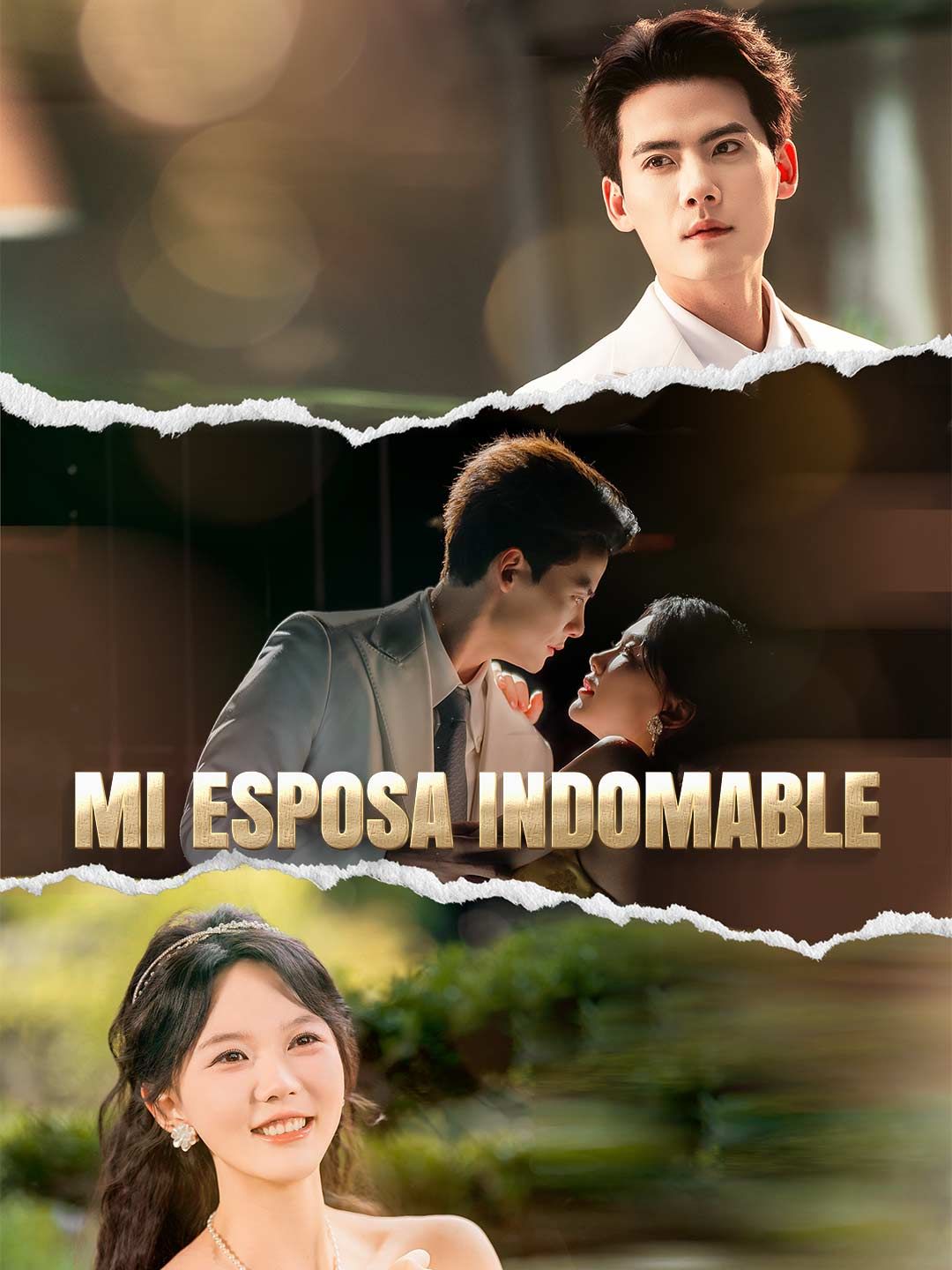 Poster Mi esposa indomable