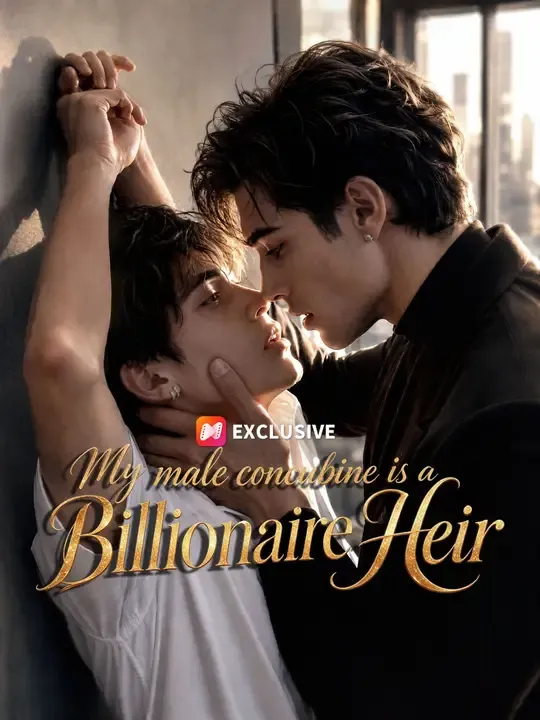 My male concubine  is a Billionaire Heir