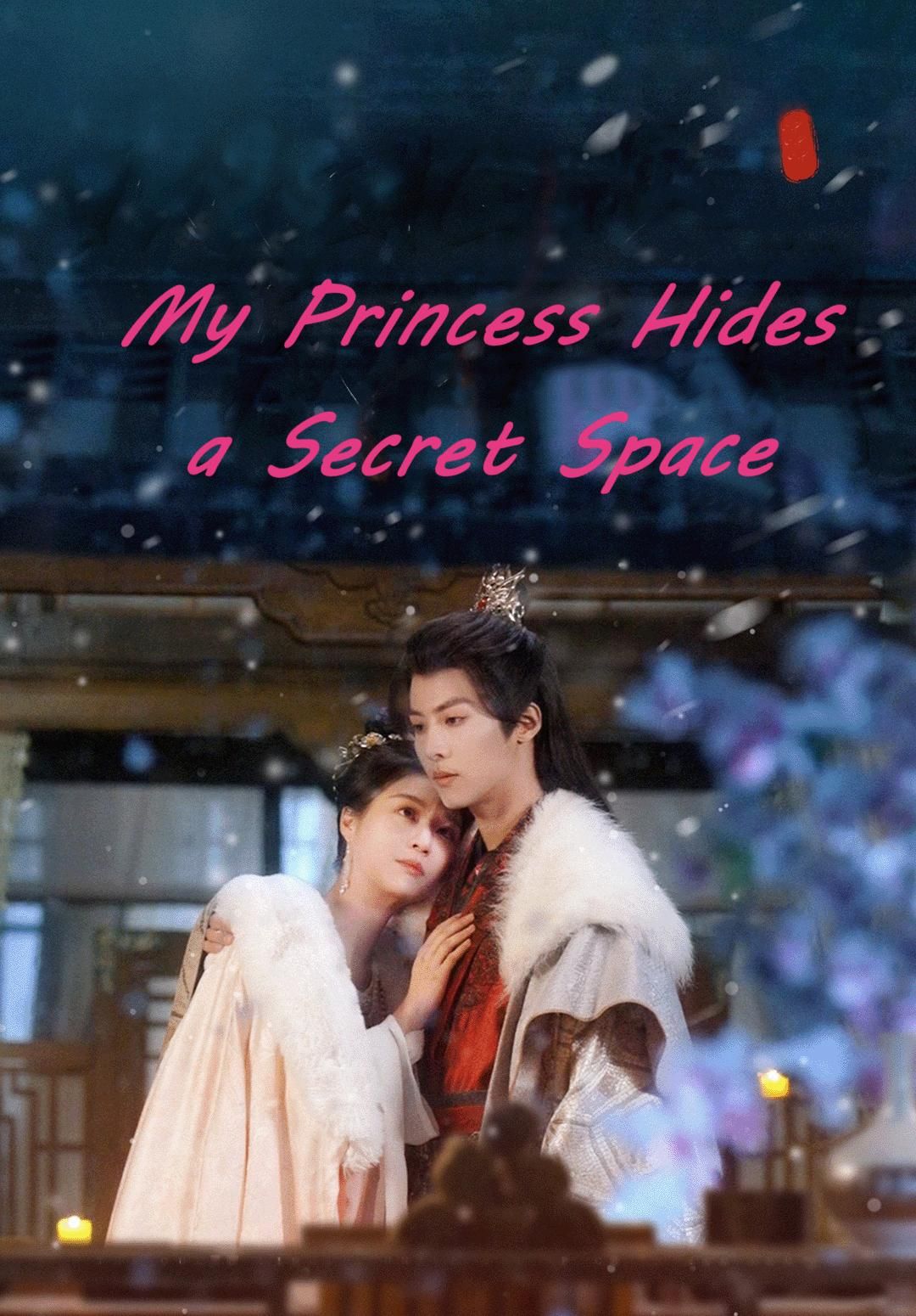 My Princess Hides a Secret Space