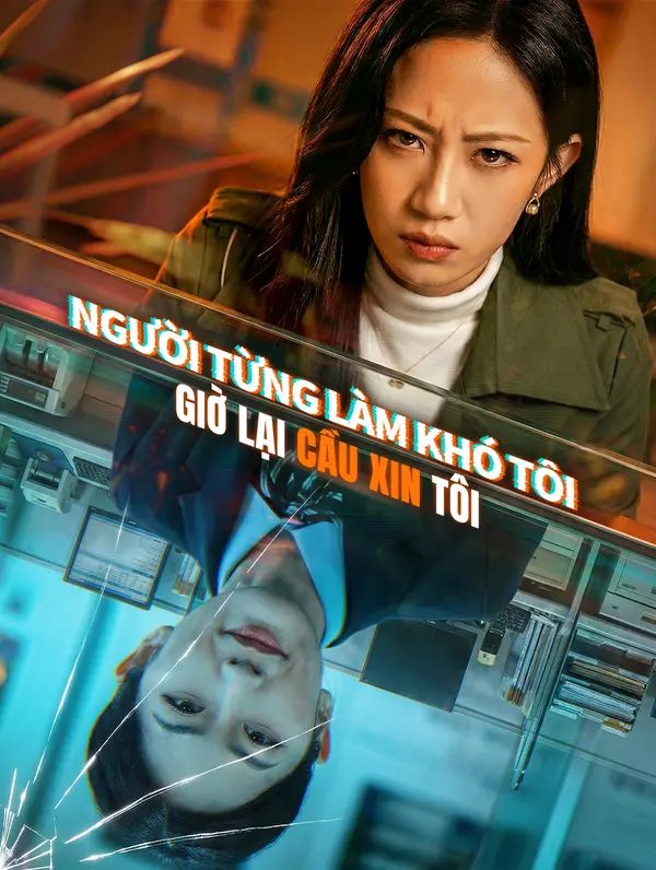 Người Từng Làm Khó Tôi Giờ Lại Cầu Xin Tôi