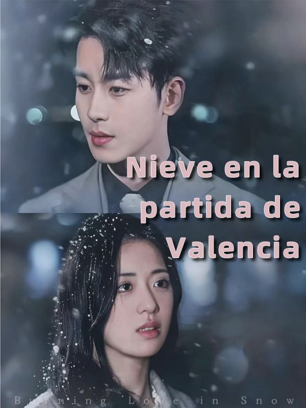 Nieve en la partida de Valencia