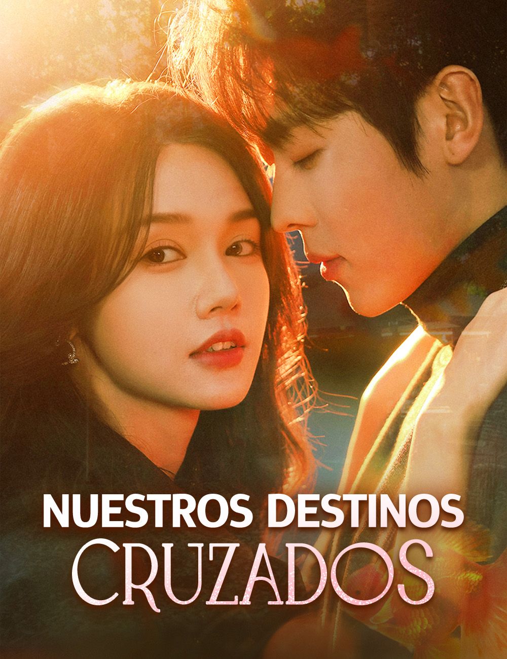 Nuestros destinos cruzados