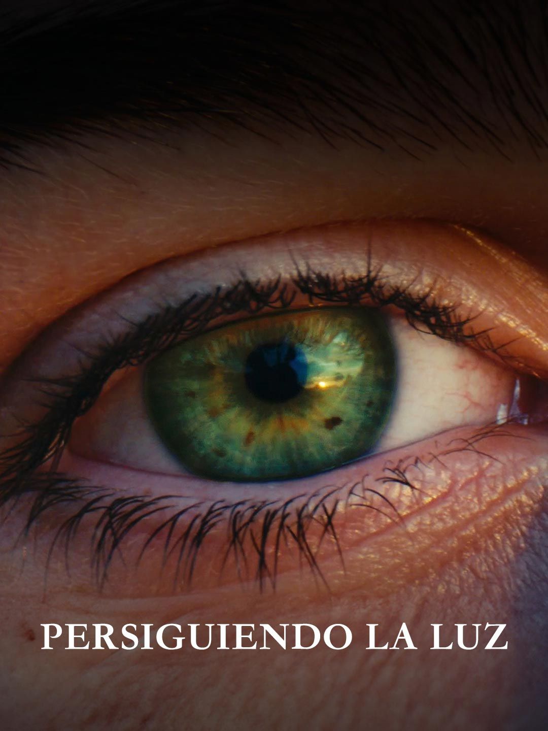 (Película) Persiguiendo la Luz