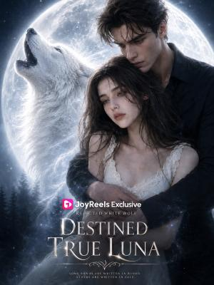 Rejected White Wolf, Destined True Luna