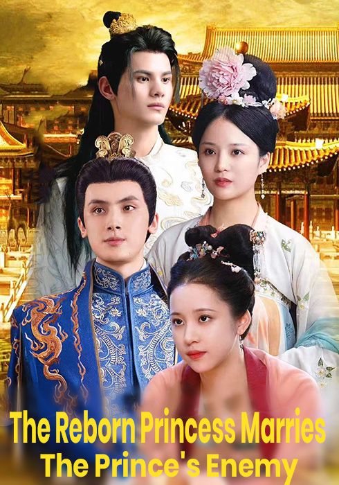 The Reborn Princess Marries The Prince's Enemy