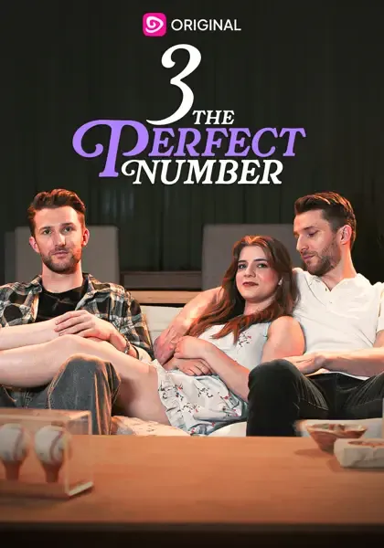 Poster Three. The Perfect Number