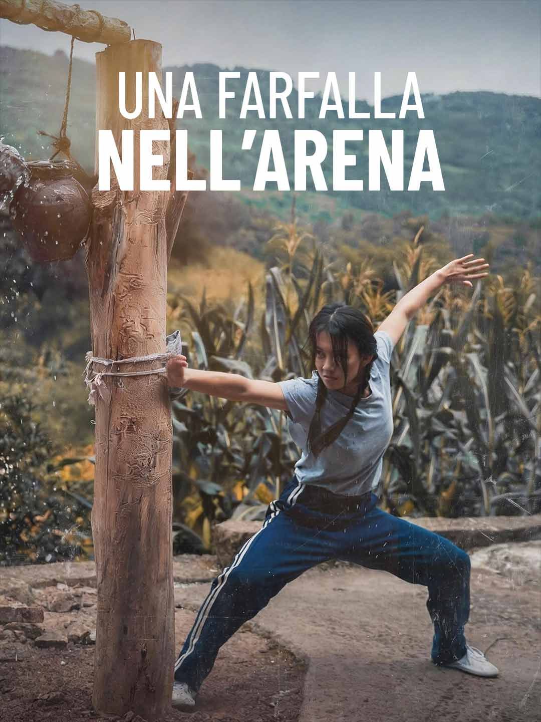 Poster Una farfalla nell’arena